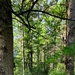 Fall 2025 views at Fort McCoy's Pine View Recreation Area