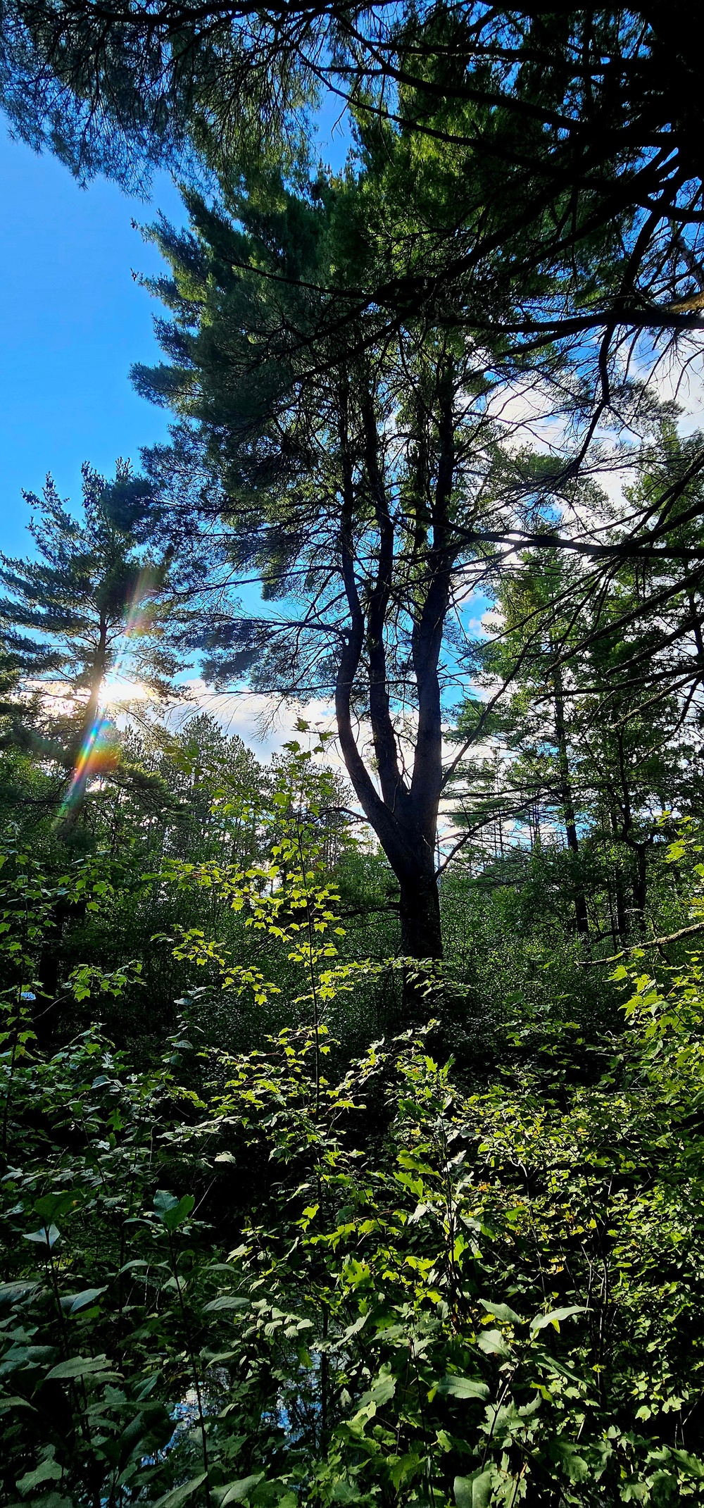 Fall 2025 views at Fort McCoy's Pine View Recreation Area
