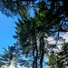 Fall 2025 views at Fort McCoy's Pine View Recreation Area