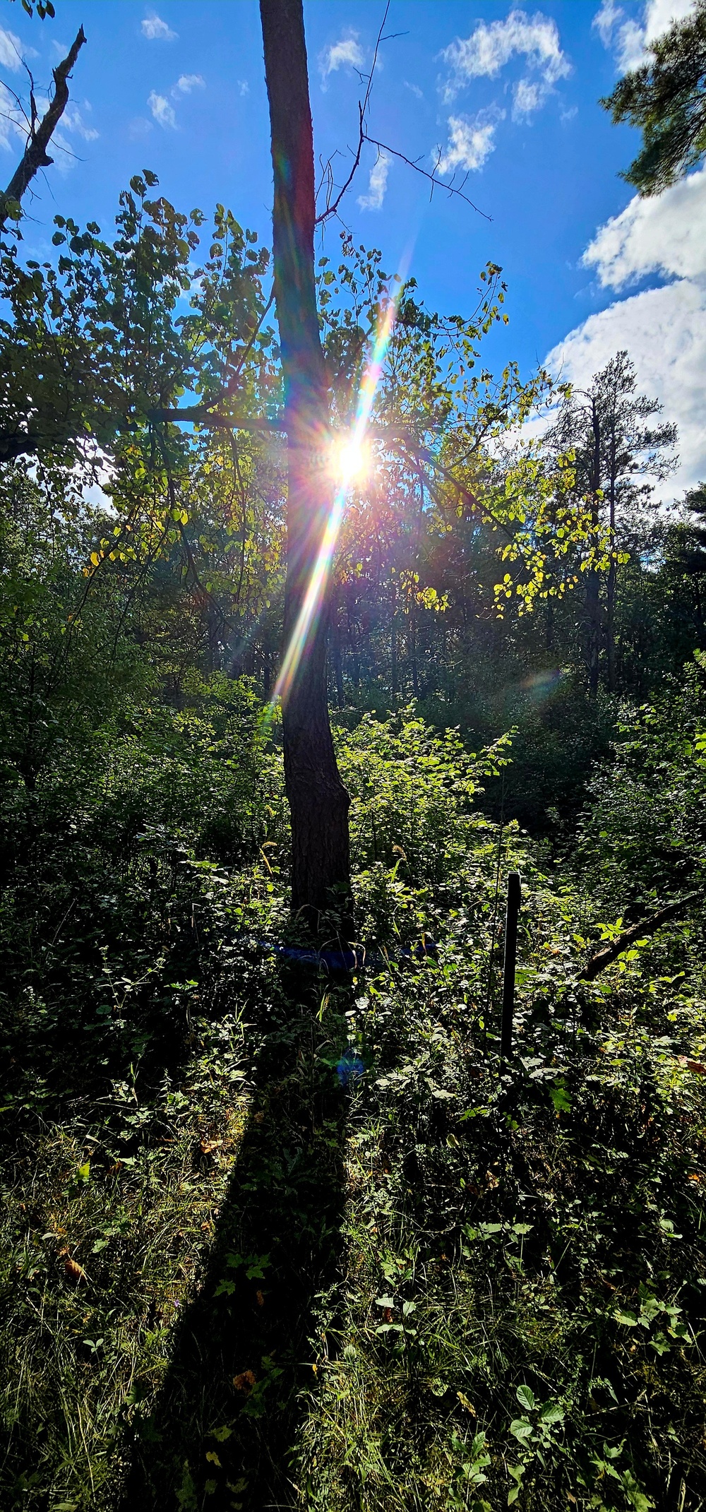 Fall 2025 views at Fort McCoy's Pine View Recreation Area