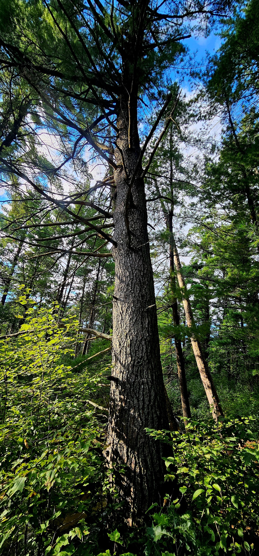 Fall 2025 views at Fort McCoy's Pine View Recreation Area