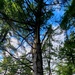 Fall 2025 views at Fort McCoy's Pine View Recreation Area
