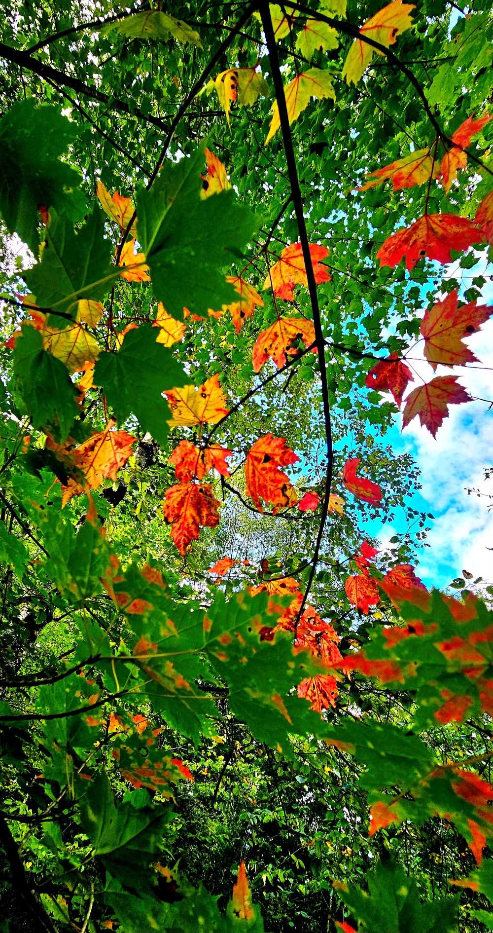 Fall 2025 views at Fort McCoy's Pine View Recreation Area