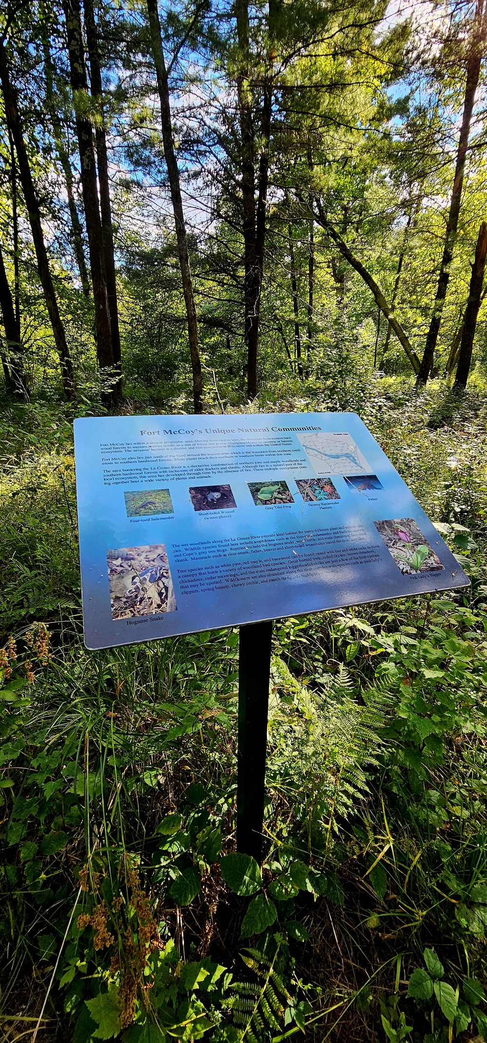 Fall 2025 views at Fort McCoy's Pine View Recreation Area