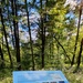 Fall 2025 views at Fort McCoy's Pine View Recreation Area