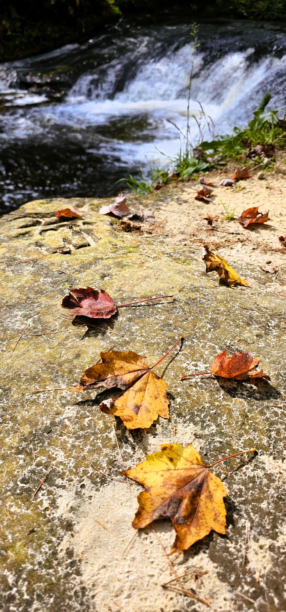 Fall 2025 views at Fort McCoy's Pine View Recreation Area