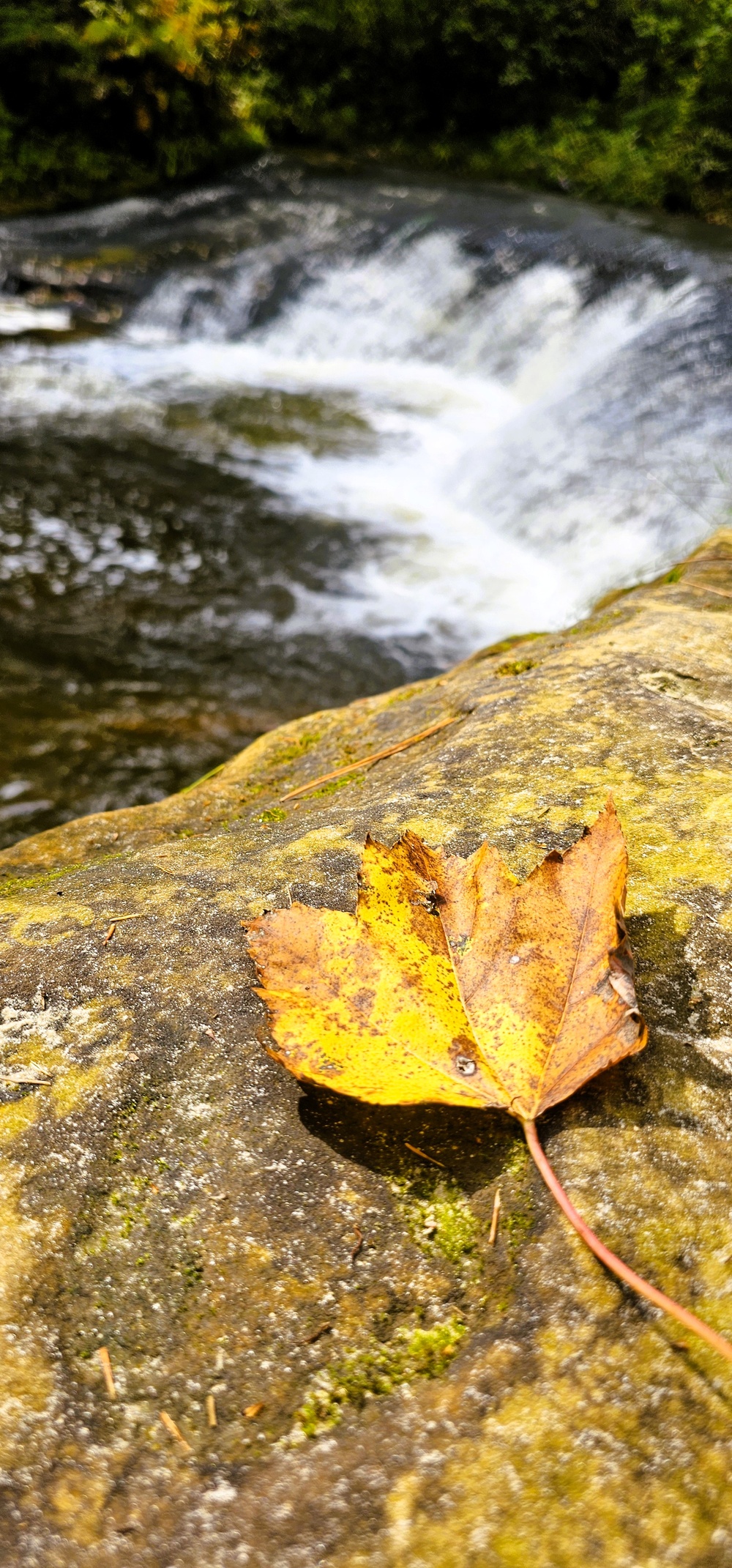 Fall 2025 views at Fort McCoy's Pine View Recreation Area