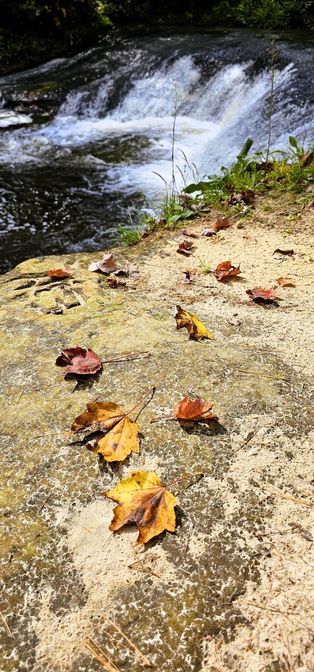 Fall 2025 views at Fort McCoy's Pine View Recreation Area
