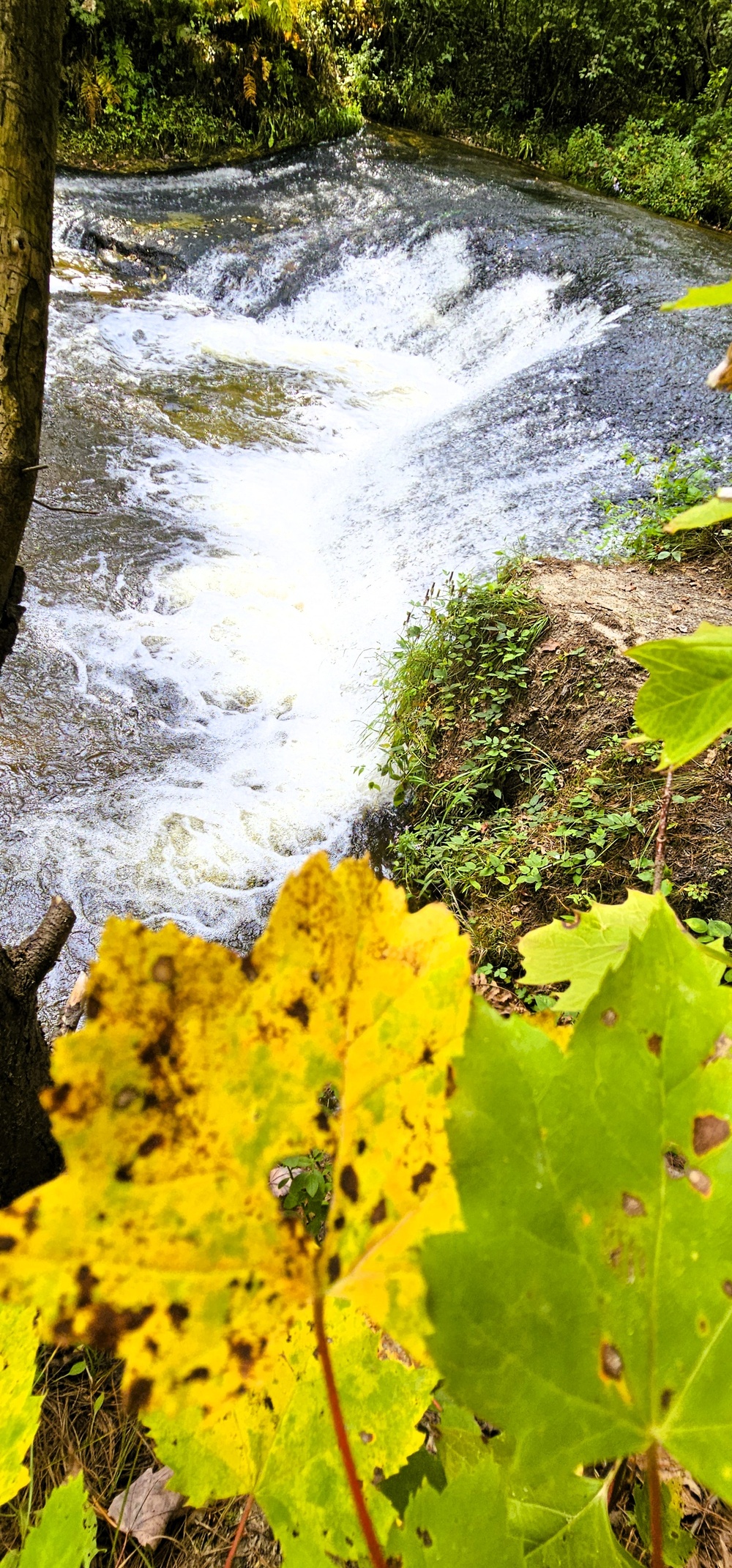 Fall 2025 views at Fort McCoy's Pine View Recreation Area