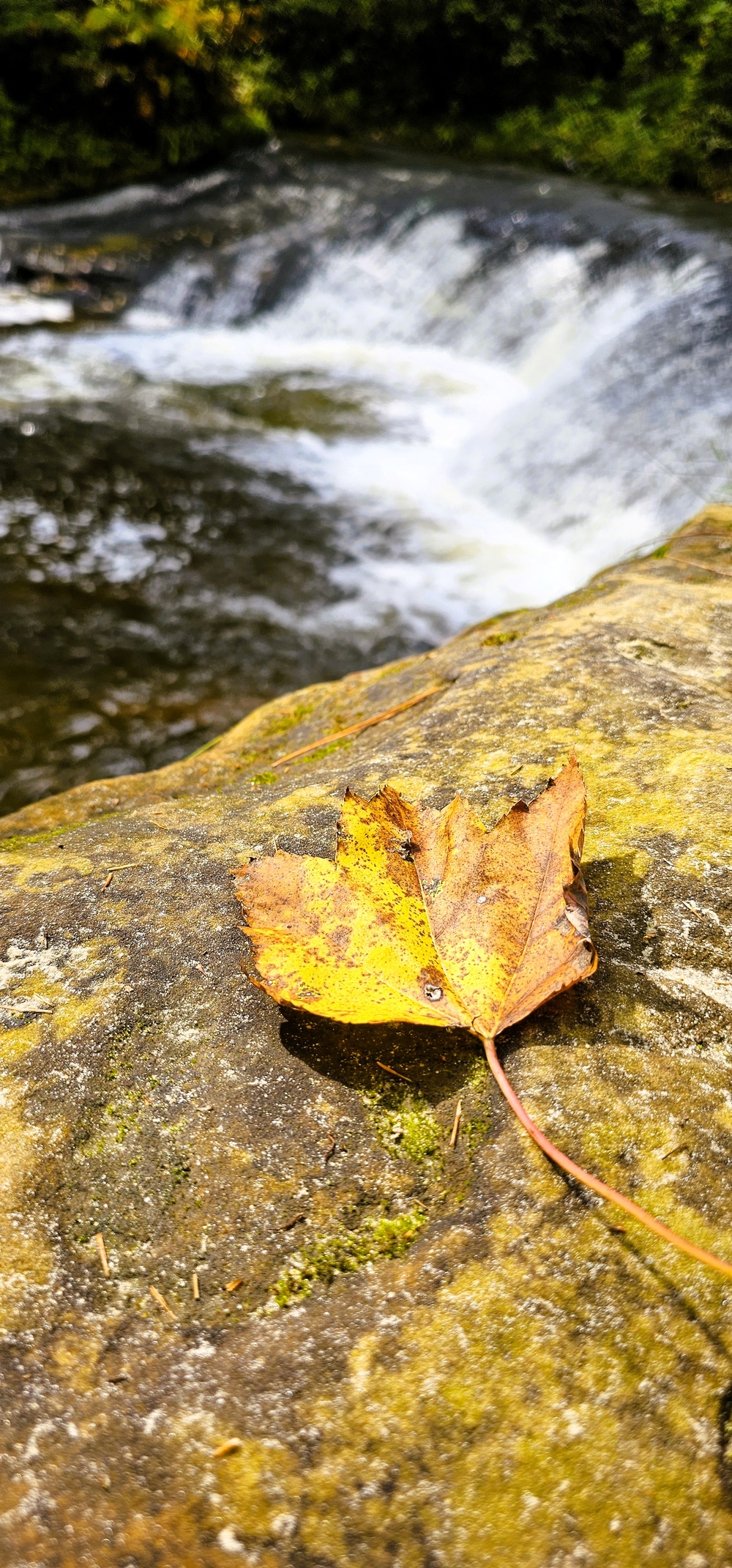 Fall 2025 views at Fort McCoy's Pine View Recreation Area