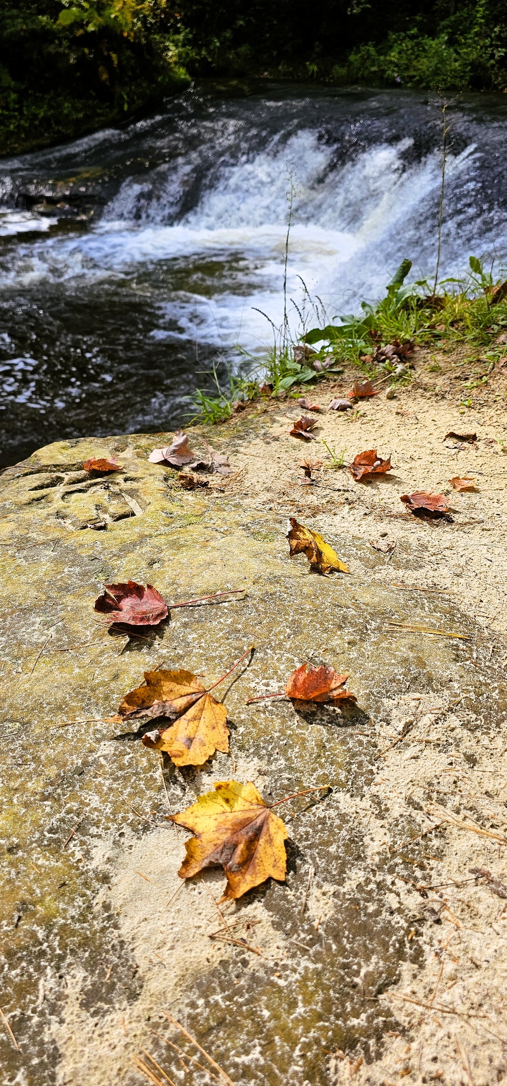Fall 2025 views at Fort McCoy's Pine View Recreation Area