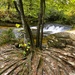 Fall 2025 views at Fort McCoy's Pine View Recreation Area