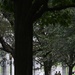 Soldiers provide presence patrol at National Mall