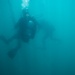 U.S. Coast Guard divers conduct aids to navigation maintenance