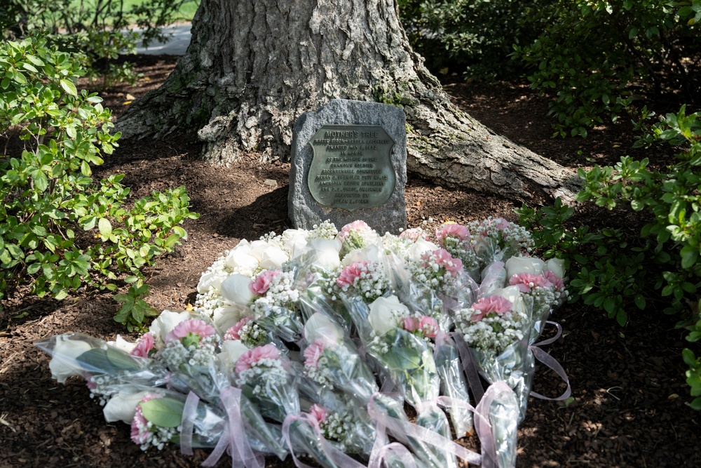 The Annual Gold Star Mother’s Day Commemoration is Held at Arlington National Cemetery