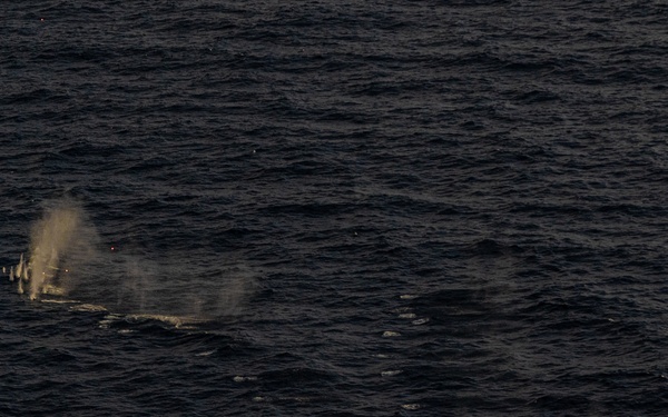 22nd MEU(SOC) | UH-1Ys and AH-1Z Live Fire Exercise