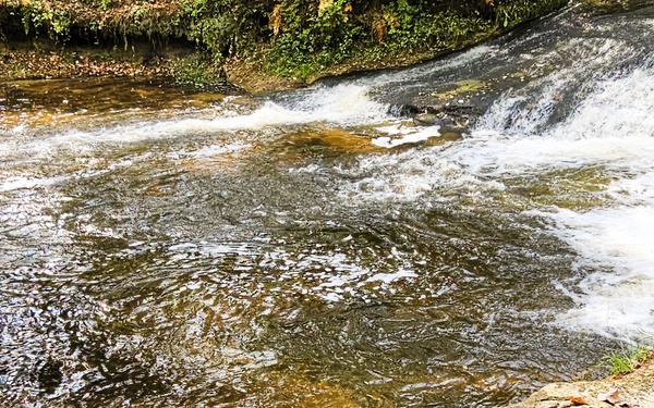 Fall 2025 views at Fort McCoy's Pine View Recreation Area