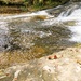 Fall 2025 views at Fort McCoy's Pine View Recreation Area