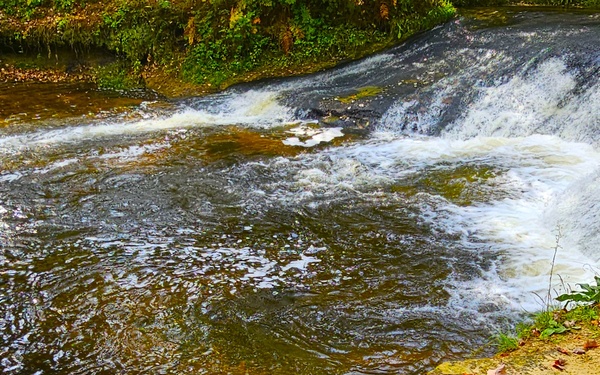 Fall 2025 views at Fort McCoy's Pine View Recreation Area