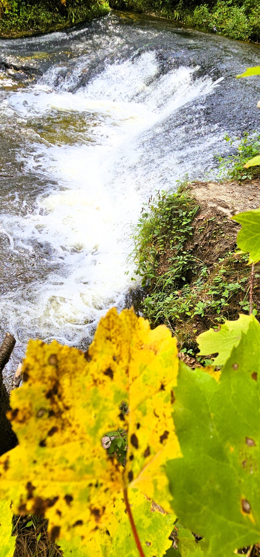 Fall 2025 views at Fort McCoy's Pine View Recreation Area