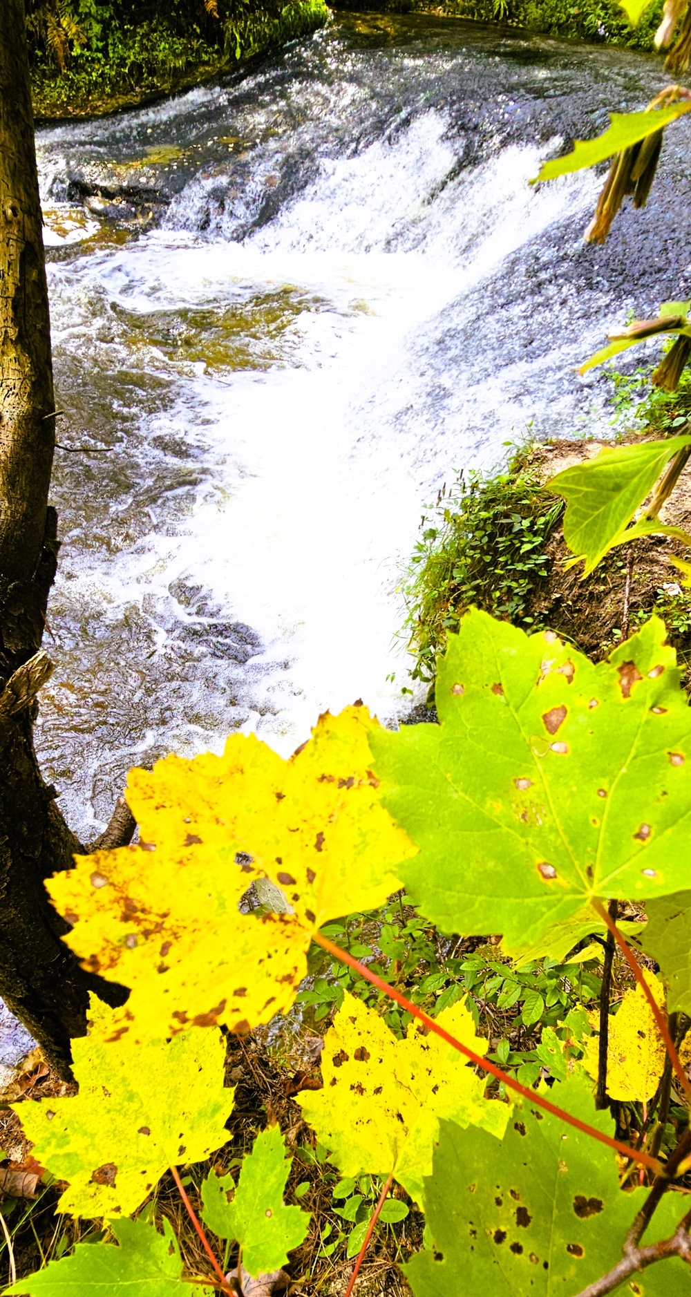 Fall 2025 views at Fort McCoy's Pine View Recreation Area