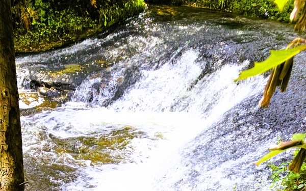 Fall 2025 views at Fort McCoy's Pine View Recreation Area