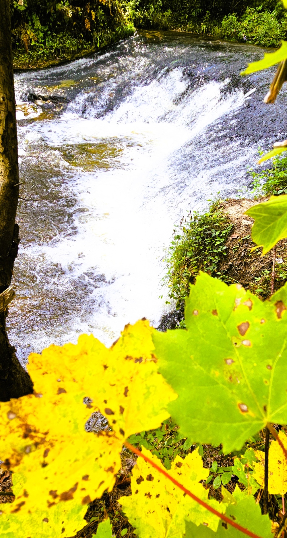 Fall 2025 views at Fort McCoy's Pine View Recreation Area