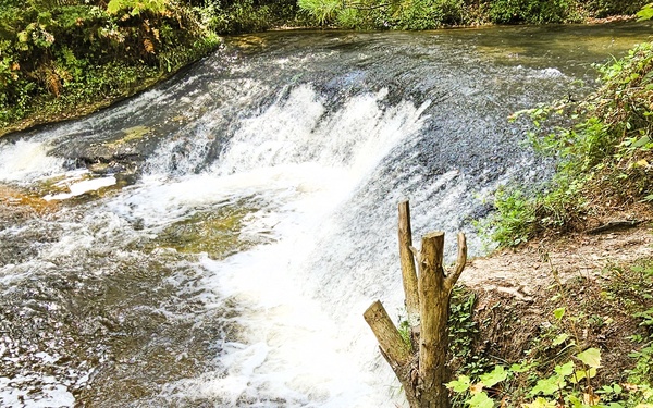 Fall 2025 views at Fort McCoy's Pine View Recreation Area