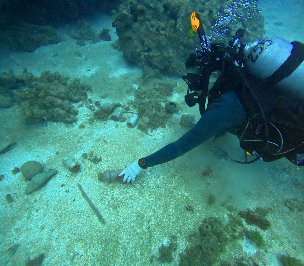 Village beautification goes headfirst into the ocean