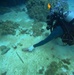 Village beautification goes headfirst into the ocean