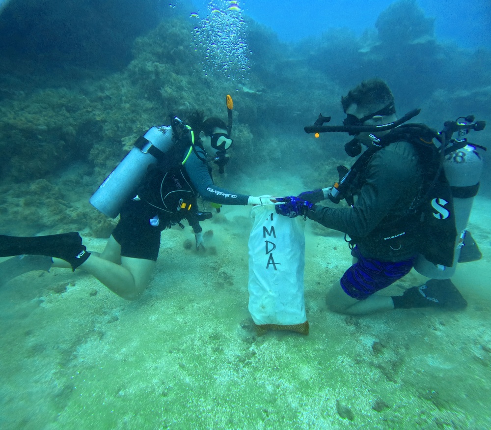 Village beautification goes headfirst into the ocean