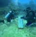 Village beautification goes headfirst into the ocean