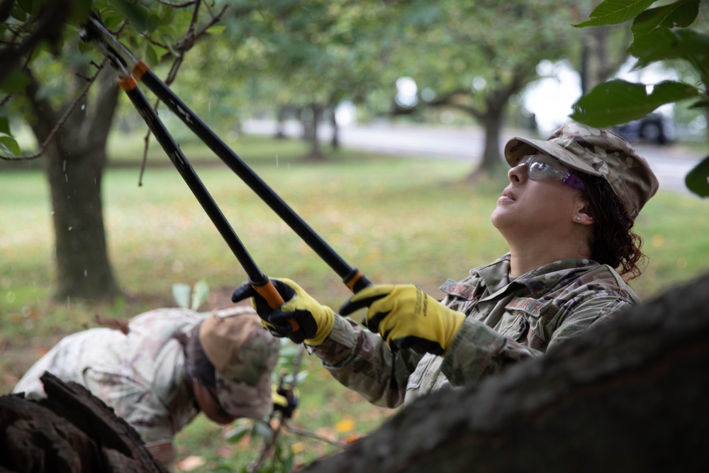 JTF - Beautification provides arboreal service at Hains Point