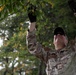 JTF - Beautification provides arboreal service at Hains Point