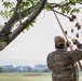 JTF - Beautification provides arboreal service at Hains Point