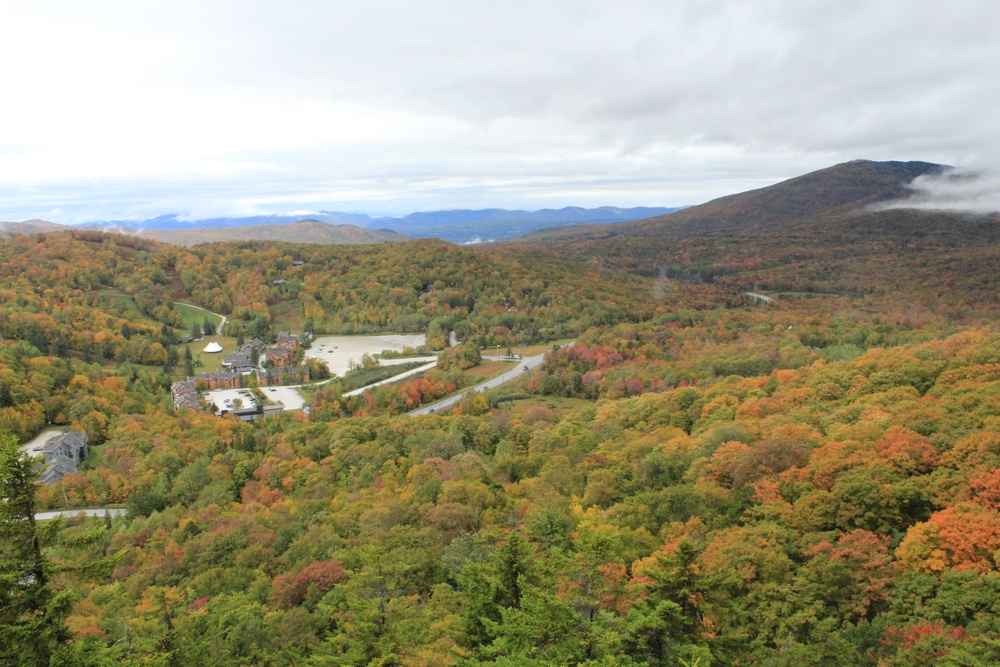 Deer Leap View