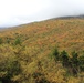 Deer Leap View