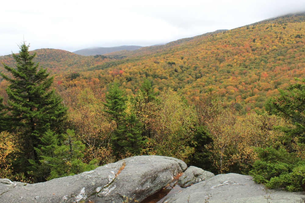 Deer Leap View