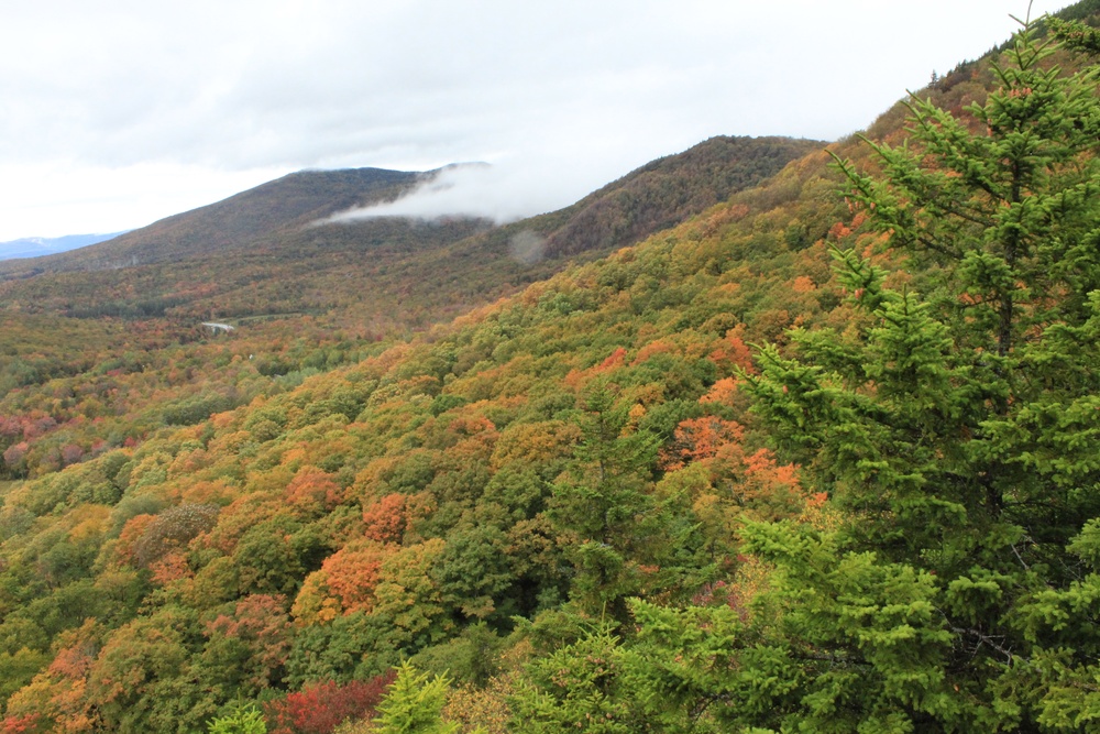 Deer Leap View