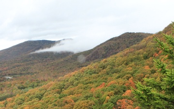 Deer Leap View