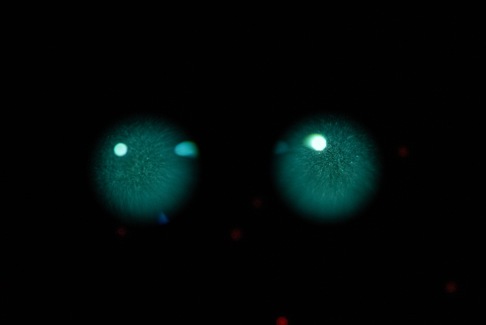 AFRL's 711 HPW innovates with night vision goggle experiments