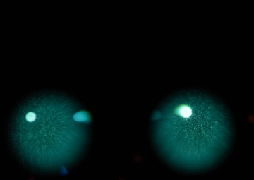 AFRL's 711 HPW innovates with night vision goggle experiments