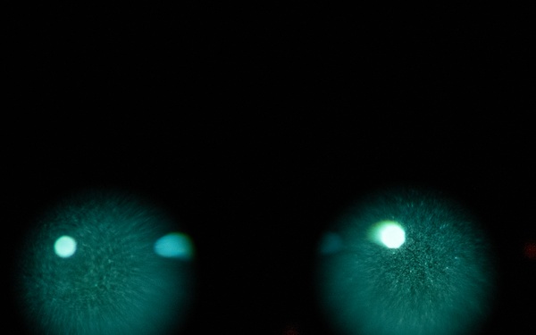 AFRL's 711 HPW innovates with night vision goggle experiments