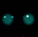 AFRL's 711 HPW innovates with night vision goggle experiments