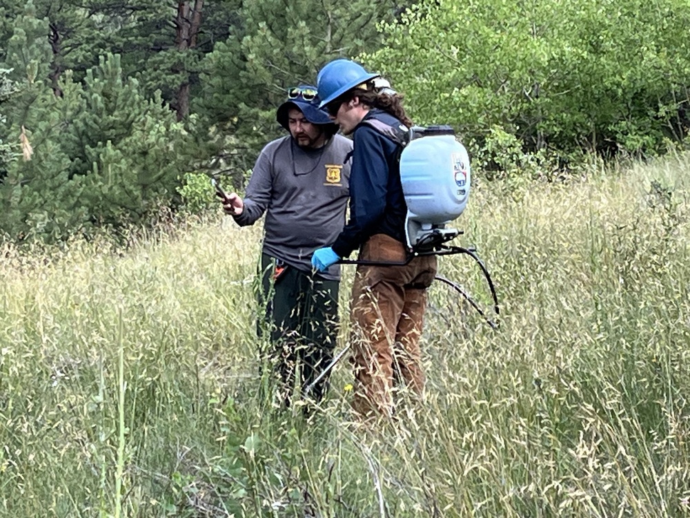 Lost Creek Wilderness Invasive Weeds Spraying