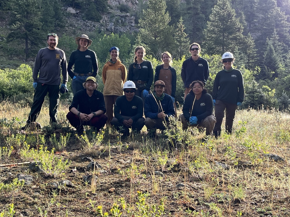 Lost Creek Wilderness Invasive Weeds Spraying