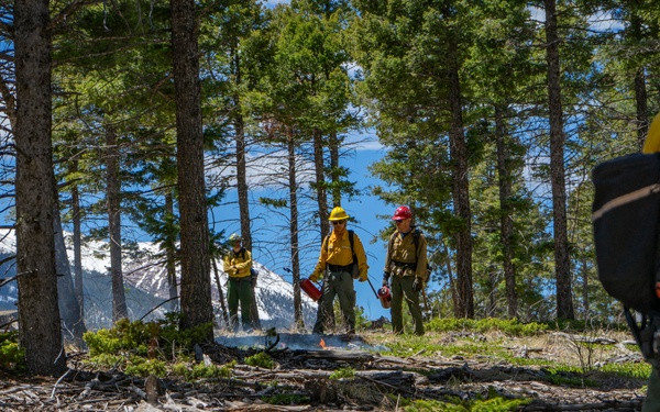 Crystal Reservoir RX burn