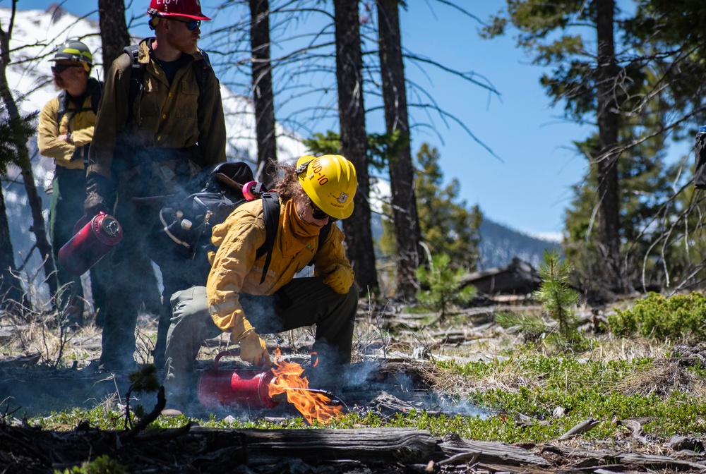 Crystal Reservoir RX burn