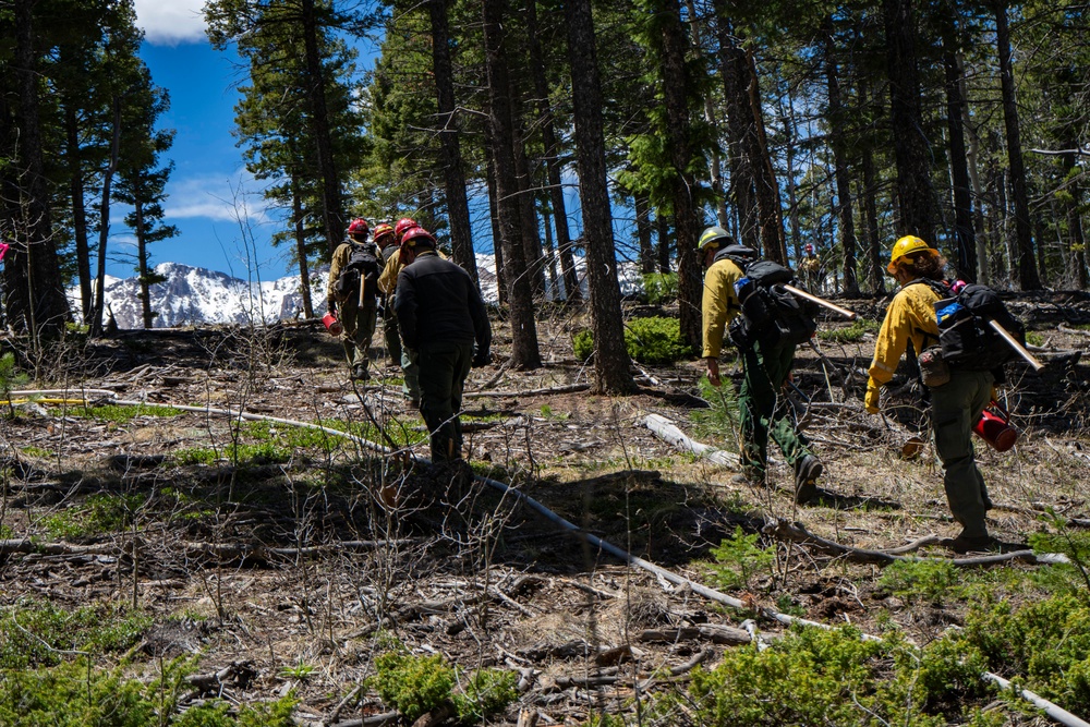 Crystal Reservoir RX burn
