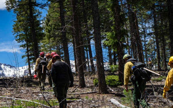 Crystal Reservoir RX burn